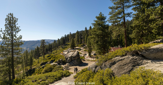 Discover Your Own Backyard