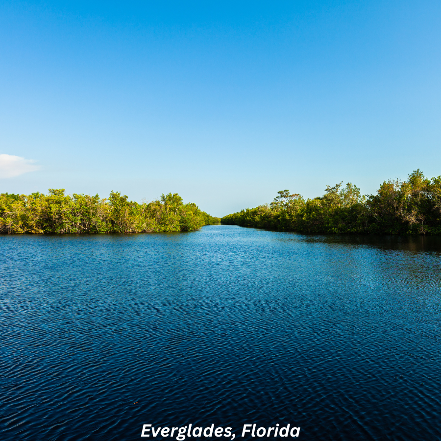 Mysteries of the Everglades, Florida