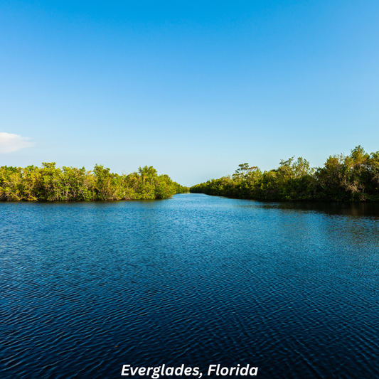 Mysteries of the Everglades, Florida